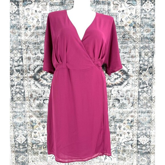 STANDARDS & PRACTICES Candice Georgette Wrap DressSize 1X  In Rose - Picture 1 of 13